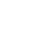 نسوب